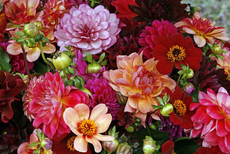 Bouquet of different colorful flowers. Bouquet of different colorful flowers