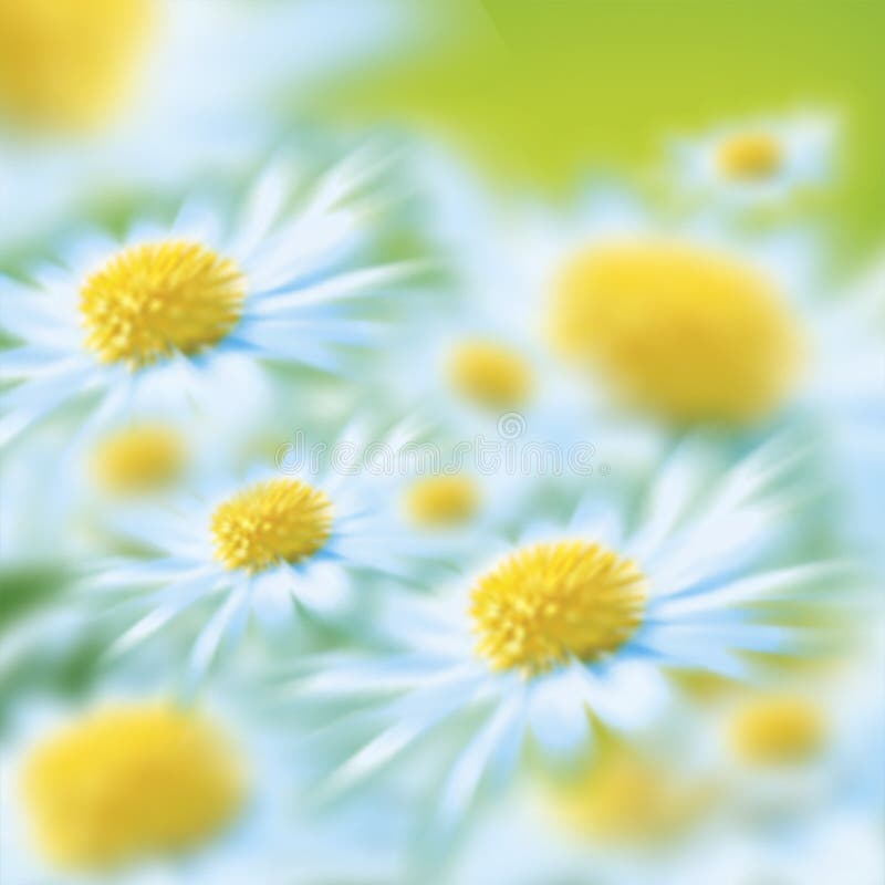 Bloemen stock afbeelding Bloemen stock afbeelding