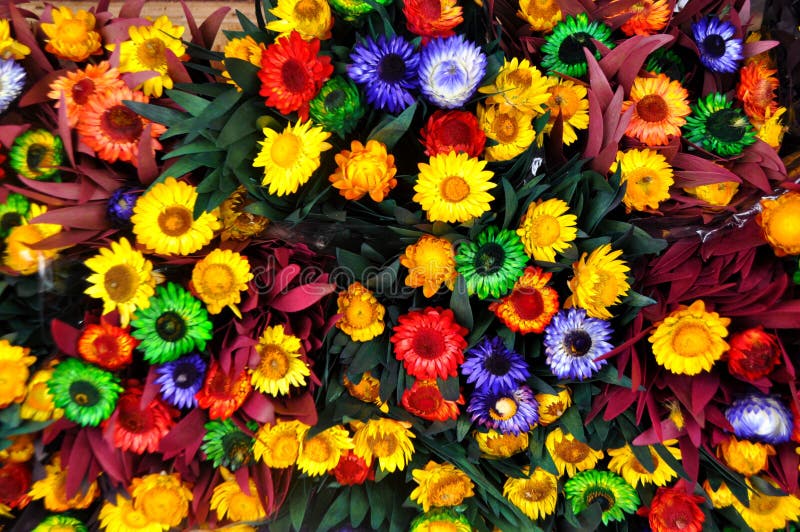 Bloemen stock foto. Image of kleur, potpourri, vervalsing 42671122