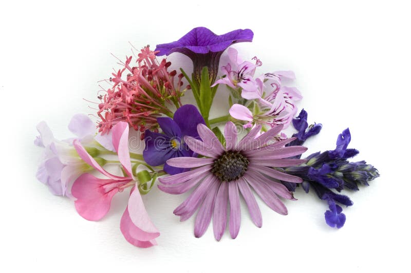 Bloemen achtergrondontwerpelement stock foto Bloemen achtergrondontwerpelement stock foto