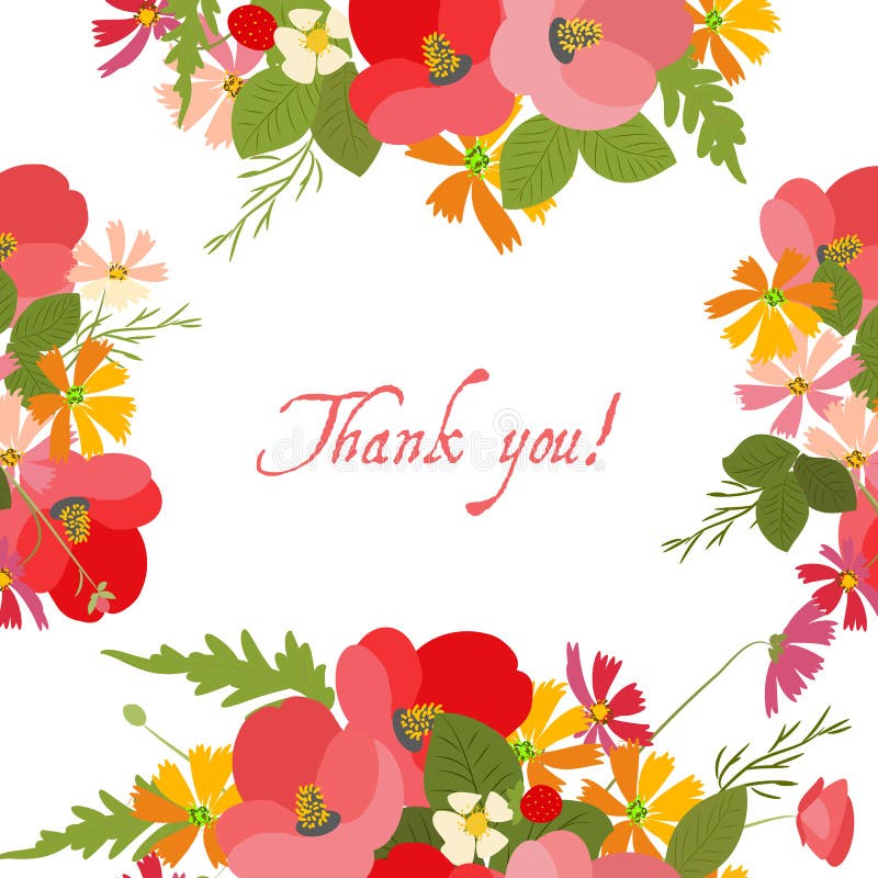 Bloemen achtergrondpapaver en kosmosaardbeien vectorillustratie vector illustratie Bloemen achtergrondpapaver en kosmosaardbeien vectorillustratie vector illustratie