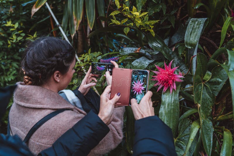 Bloemen en installaties van tien verschillende klimaatstreken royalty-vrije stock fotografie Bloemen en installaties van tien verschillende klimaatstreken royalty-vrije stock fotografie