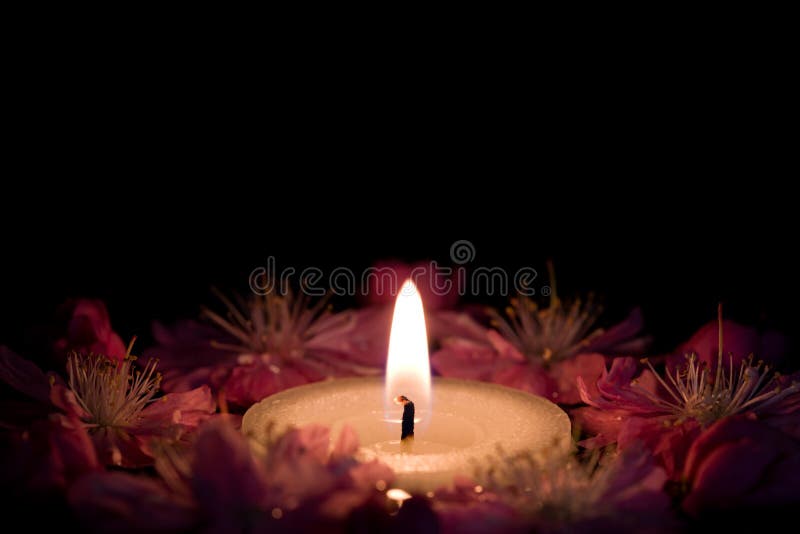 Bloemen en kaars stock foto Bloemen en kaars stock foto