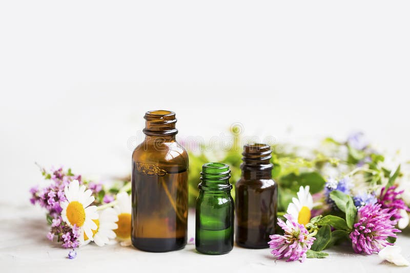 Flowers and herbs essential oil bottles, natural aromatherapy with oils and essences. Flowers and herbs essential oil bottles, natural aromatherapy with oils and essences