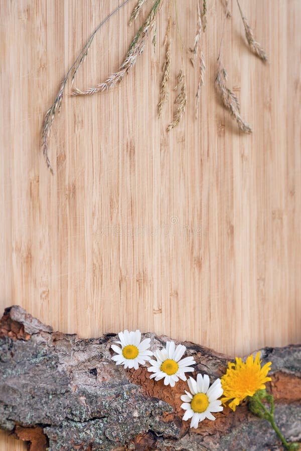 Bloemen op oude schors, plattelander royalty-vrije stock afbeelding Bloemen op oude schors, plattelander royalty-vrije stock afbeelding