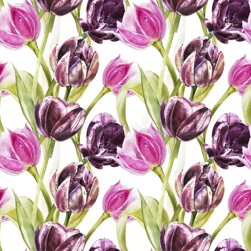 Bloemen van tulpen Waterverfhand getrokken botanische illustratie van bloemen Naadloos patroon stock illustratie Bloemen van tulpen Waterverfhand getrokken botanische illustratie van bloemen Naadloos patroon stock illustratie