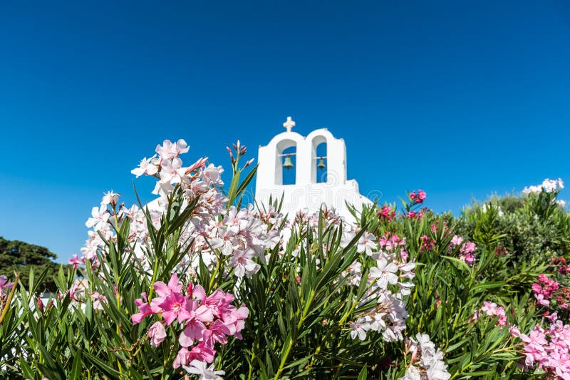 Bloemen voor een kerk in Santorini royalty-vrije stock afbeeldingen