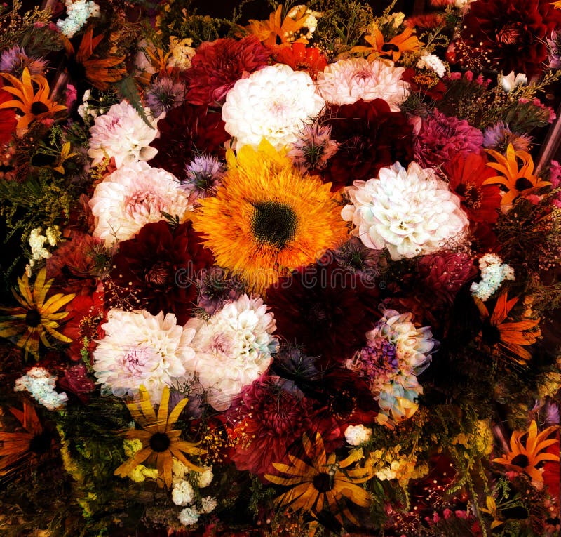 Bloemenachtergrond met gestileerd boeket van Dalia, Zinnia, zonnebloem royalty-vrije illustratie Bloemenachtergrond met gestileerd boeket van Dalia, Zinnia, zonnebloem royalty-vrije illustratie