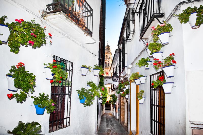 Bloemenbloempot op de muren op straten van Cordoba. Spanje