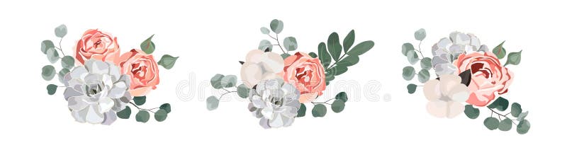 Bloemenboeketontwerp: roze de tuin nam katoen toe, succulent, het groenbladeren van de eucalyptustak