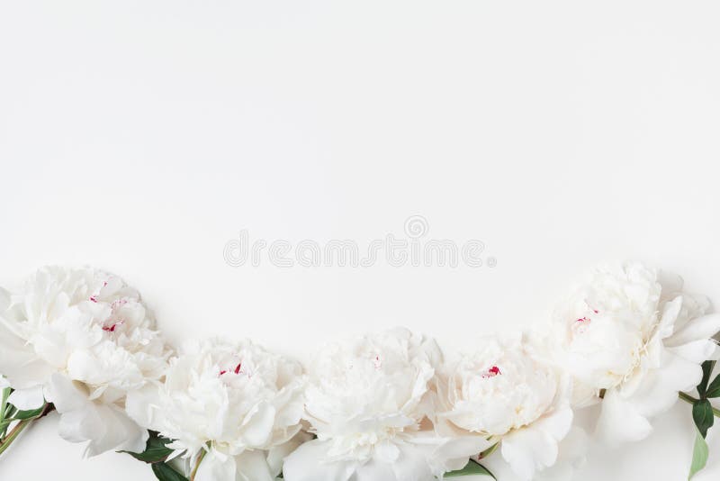 Bloemengrens van witte pioenbloemen op de bovenkantmening van de pastelkleurlijst vlak leg stijl stock foto Bloemengrens van witte pioenbloemen op de bovenkantmening van de pastelkleurlijst vlak leg stijl stock foto