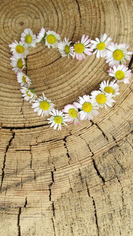 Bloemenhart op houten achtergrond stock fotografie Bloemenhart op houten achtergrond stock fotografie