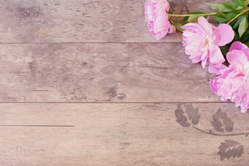Bloemenkader met roze pioenen op houten achtergrond Gestileerde marketing fotografie De ruimte van het exemplaar Huwelijk, giftka stock fotografie Bloemenkader met roze pioenen op houten achtergrond Gestileerde marketing fotografie De ruimte van het exemplaar Huwelijk, giftka stock fotografie