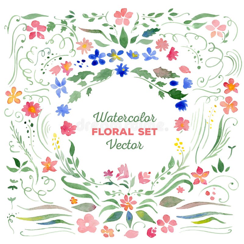 Download Vectorwaterverfkronen En Afzonderlijke Bloemen Vector ...