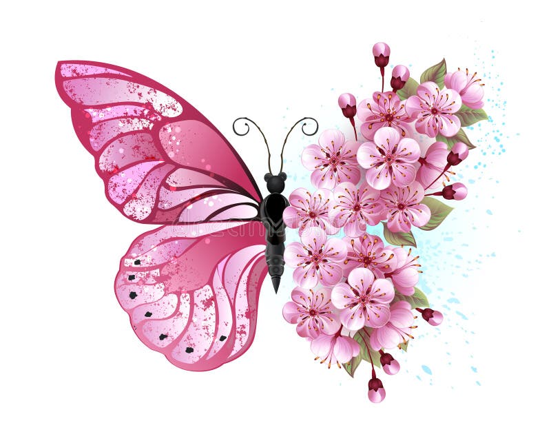 Flower arrangement of pink butterfly with pink Japanese cherry blossoms on white background. Flower arrangement of pink butterfly with pink Japanese cherry blossoms on white background