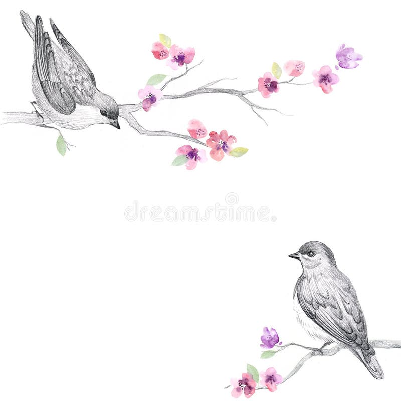 Bloemenwaterverfachtergrond met mooie bloemen stock illustratie Bloemenwaterverfachtergrond met mooie bloemen stock illustratie