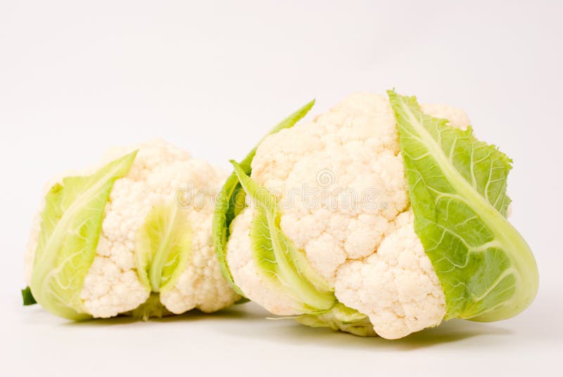 Bloemkool stock afbeelding Bloemkool stock afbeelding