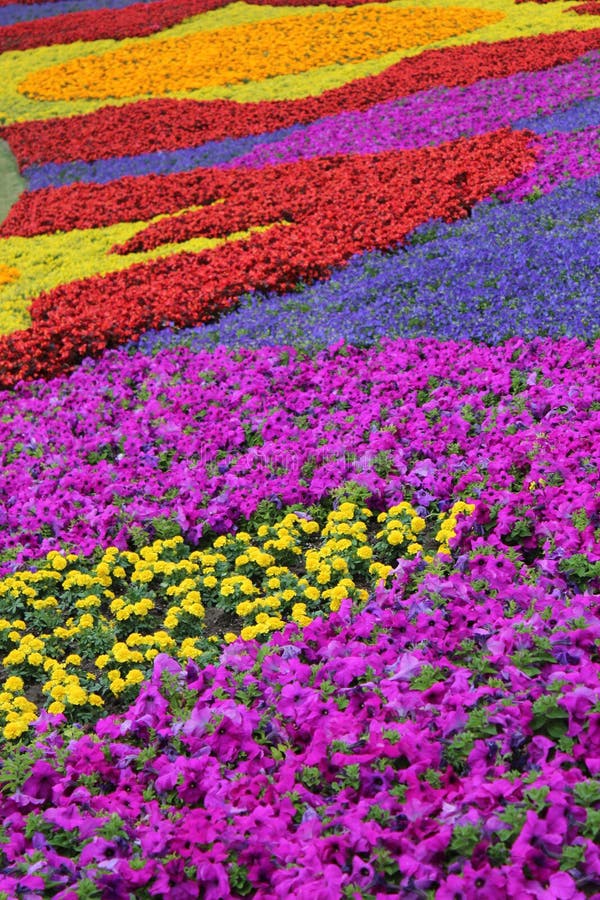 Bloemtuin bij epcot royalty-vrije stock afbeelding Bloemtuin bij epcot royalty-vrije stock afbeelding