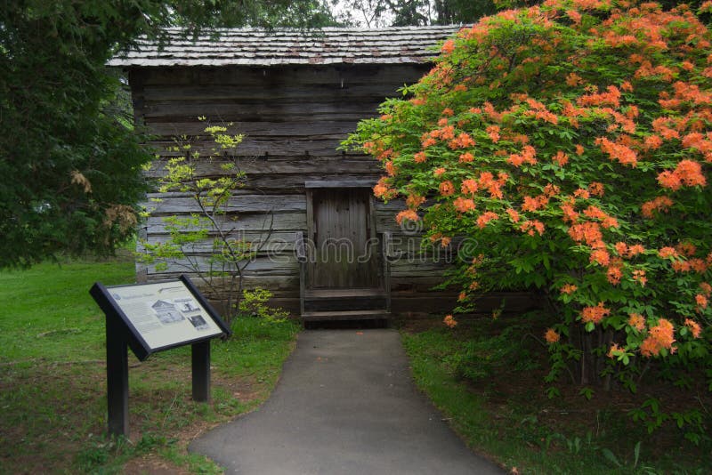 Floyd County, Virginia USA - May 19: A log cabin with a large bush of blooming Azaleas at Mabry Mill on the Blue Ridge Parkway on May 19, 2014, Floyd County, Virginia, USA. Floyd County, Virginia USA - May 19: A log cabin with a large bush of blooming Azaleas at Mabry Mill on the Blue Ridge Parkway on May 19, 2014, Floyd County, Virginia, USA.