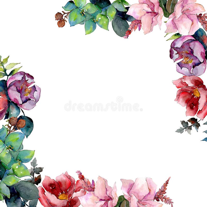 Blom- botaniska blommor för bukettsammansättning Uppsättning för vattenfärgbakgrundsillustration Fyrkant för ramgränsprydnad royaltyfri foto