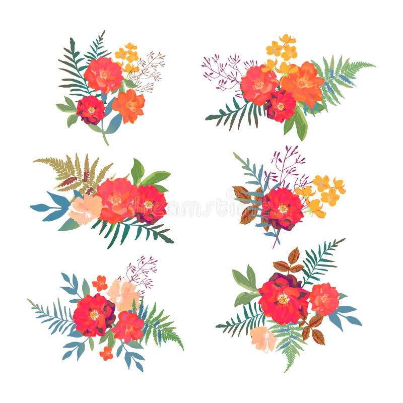 blom- dekorativa element många ställde in Samling med röda orange härliga blommor Hand D vektor illustrationer blom- dekorativa element många ställde in Samling med röda orange härliga blommor Hand D vektor illustrationer