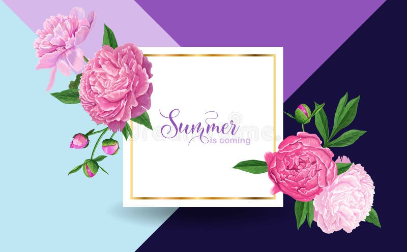 Blom- design för Hello sommar med rosa pionblommor Botanisk bakgrund för affischen, baner som gifta sig inbjudan vektor illustrationer Blom- design för Hello sommar med rosa pionblommor Botanisk bakgrund för affischen, baner som gifta sig inbjudan vektor illustrationer