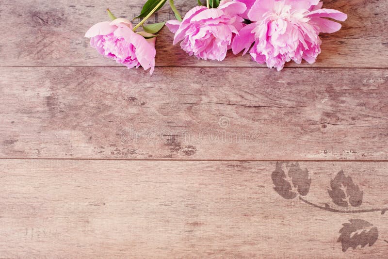 Blom- ram med rosa pioner på träbakgrund Utformat marknadsföra fotografi kopiera avstånd arkivfoto Blom- ram med rosa pioner på träbakgrund Utformat marknadsföra fotografi kopiera avstånd arkivfoto
