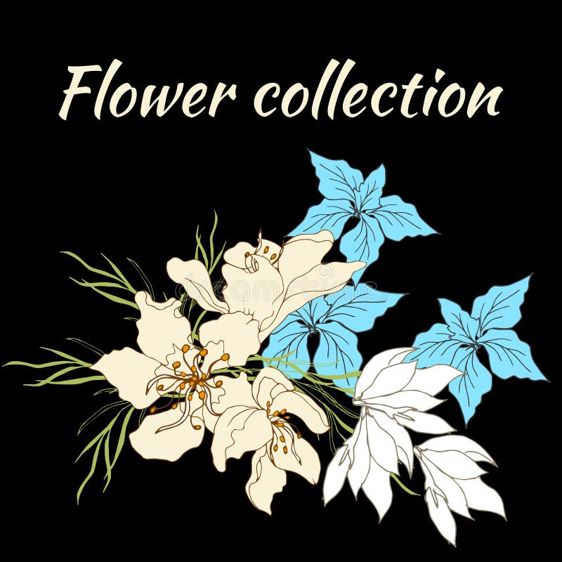 blom- ramtext Upps?ttning av vektorblommor Den drog tappninghanden blommar p? svart bakgrund ocks? vektor f?r coreldrawillustrati vektor illustrationer blom- ramtext Upps?ttning av vektorblommor Den drog tappninghanden blommar p? svart bakgrund ocks? vektor f?r coreldrawillustrati vektor illustrationer