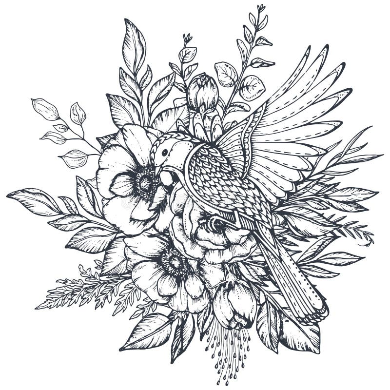 Blom- sammansättning för vektor av hand drog anemonblommor och den utsmyckade fågeln royaltyfri illustrationer Blom- sammansättning för vektor av hand drog anemonblommor och den utsmyckade fågeln royaltyfri illustrationer