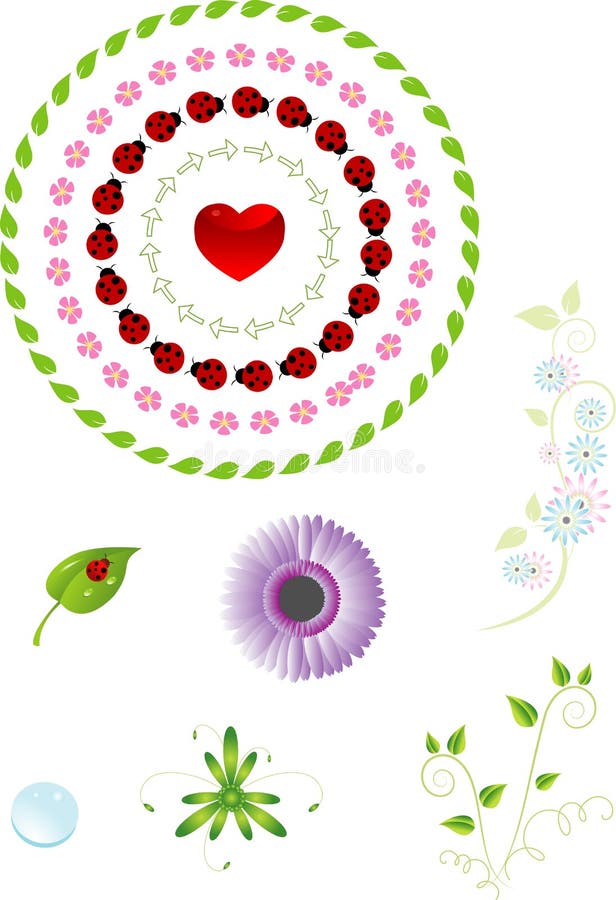 Vector floral elements set with ladybugs. Vector floral elements set with ladybugs