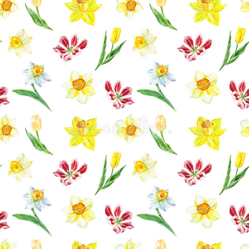 Blom- sömlös modell för vattenfärg med den gula pingstliljan och tulpan på vit bakgrund Ljust botaniskt tryck vektor illustrationer Blom- sömlös modell för vattenfärg med den gula pingstliljan och tulpan på vit bakgrund Ljust botaniskt tryck vektor illustrationer