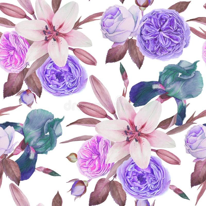 Blom- sömlös modell med vattenfärgirins, vita liljor och rosor stock illustrationer Blom- sömlös modell med vattenfärgirins, vita liljor och rosor stock illustrationer