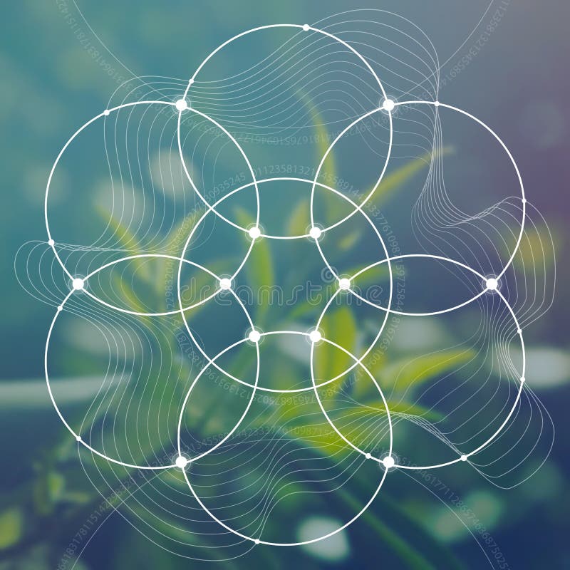 Flower of life - the interlocking circles ancient symbol in front of blurred photorealistic nature background. Sacred geometry - mathematics, nature, and spirituality in nature. The formula of nature. Flower of life - the interlocking circles ancient symbol in front of blurred photorealistic nature background. Sacred geometry - mathematics, nature, and spirituality in nature. The formula of nature.