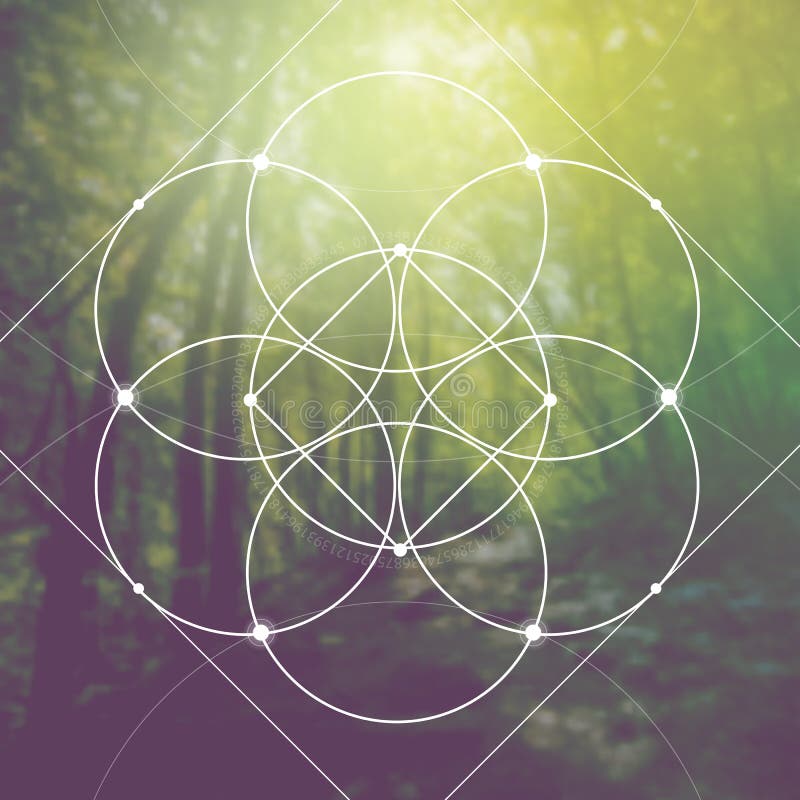 Flower of life - the interlocking circles ancient symbol in front of blurred photorealistic nature background. Sacred geometry - mathematics, nature, and spirituality in nature. The formula of nature. Flower of life - the interlocking circles ancient symbol in front of blurred photorealistic nature background. Sacred geometry - mathematics, nature, and spirituality in nature. The formula of nature.