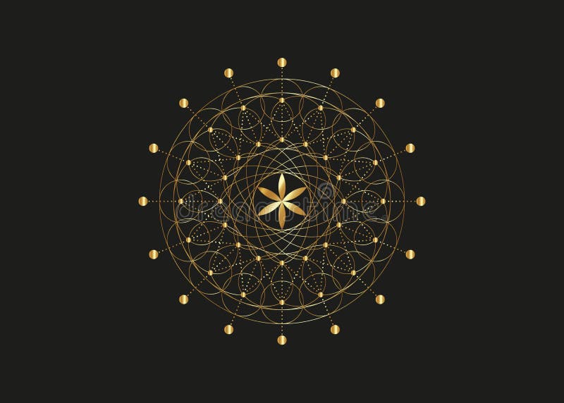 Blomma av livsguldsymbolen helig geometri. Geometrisk mystisk mandala av alkemi, esoteriska frön av livet. guldvektor prickad linj vektor illustrationer