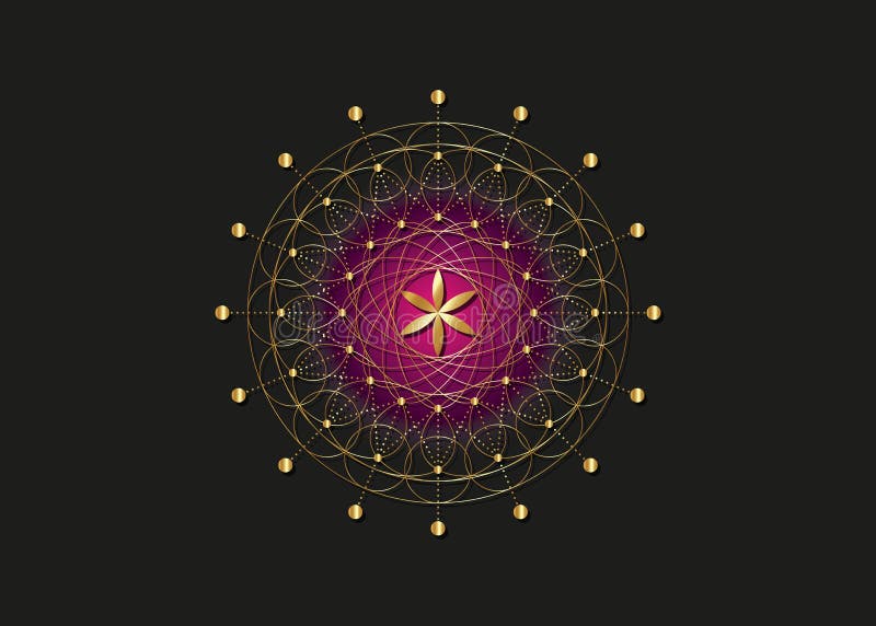 Blomma av livsguldsymbolen helig geometri. Geometrisk mystisk mandala av alkemi, esoteriska frön av livet. guldvektor prickad linj vektor illustrationer