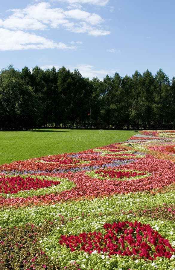 A view of flower ornaments in a summer park. A view of flower ornaments in a summer park