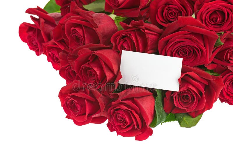 Blommabukett från röda rosor och isolerat hälsningkort royaltyfri bild Blommabukett från röda rosor och isolerat hälsningkort royaltyfri bild
