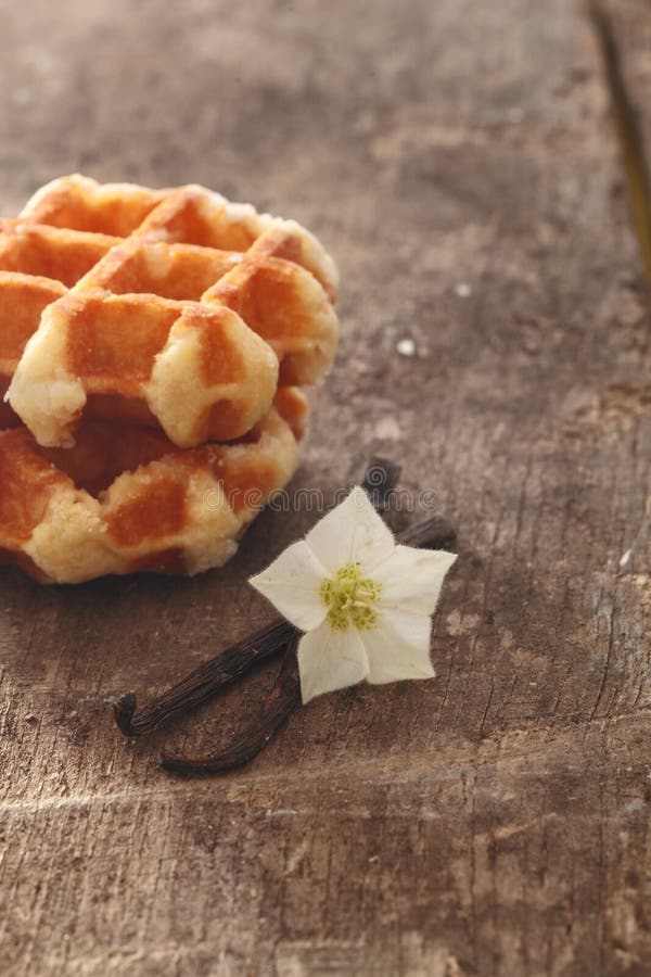 Blommafröskidavanilj royaltyfria bilder