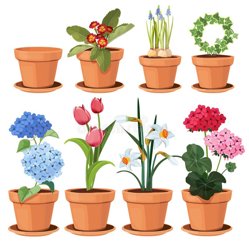 Blommakruka Dekorativa kulöra växter växer hemma i roliga krukor, vektortecknad film somillustrationer ställer in isolerat stock illustrationer Blommakruka Dekorativa kulöra växter växer hemma i roliga krukor, vektortecknad film somillustrationer ställer in isolerat stock illustrationer
