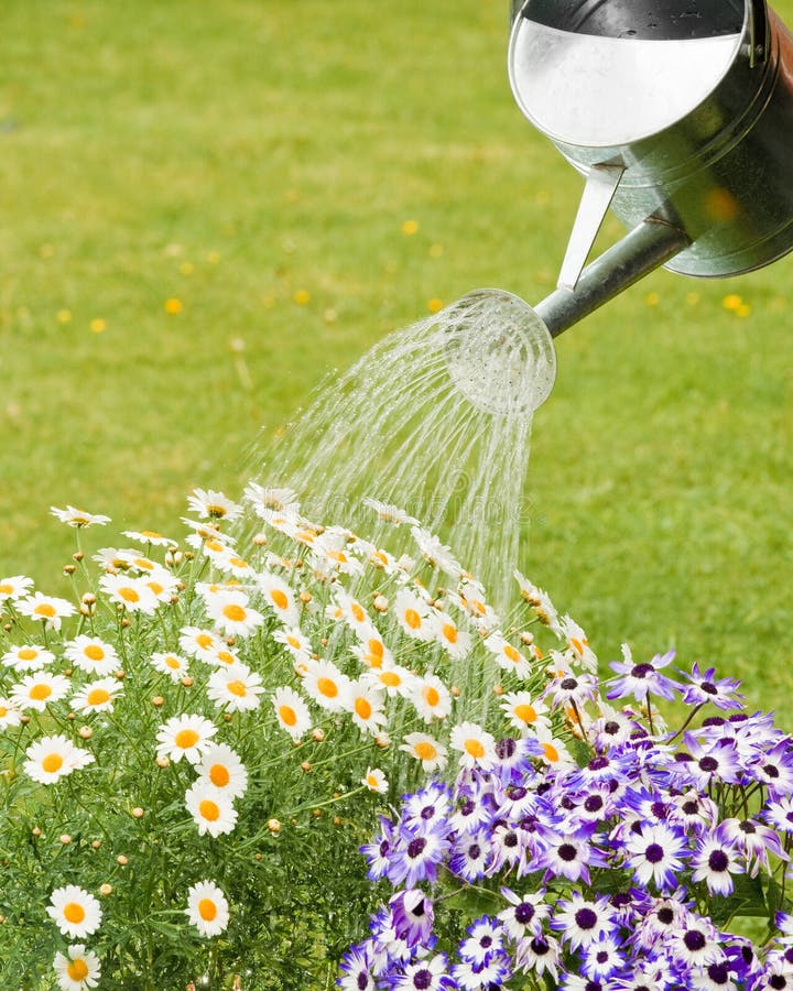 blommar att bevattna för sommar royaltyfri bild blommar att bevattna för sommar royaltyfri bild