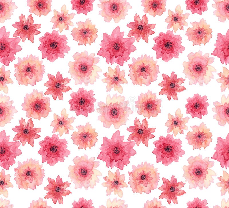 Blommar den delikata rosa färgen för vattenfärgen den sömlösa repetitionmodellen stock illustrationer Blommar den delikata rosa färgen för vattenfärgen den sömlösa repetitionmodellen stock illustrationer