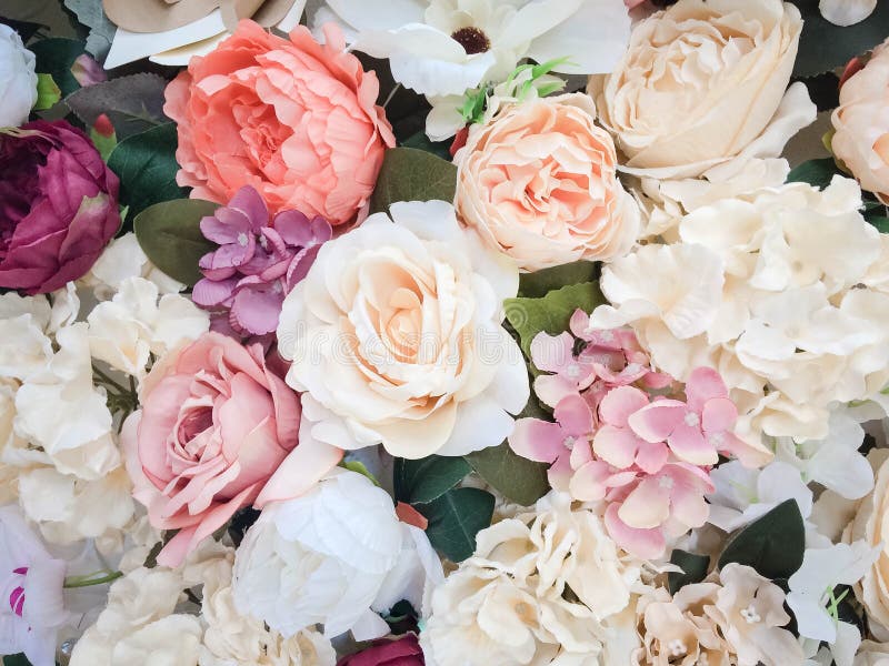 Blommaväggbakgrund med att förbluffa röda och vita rosor som gifta sig garnering, gjord hand - Blom- målarfärg royaltyfri bild Blommaväggbakgrund med att förbluffa röda och vita rosor som gifta sig garnering, gjord hand - Blom- målarfärg royaltyfri bild
