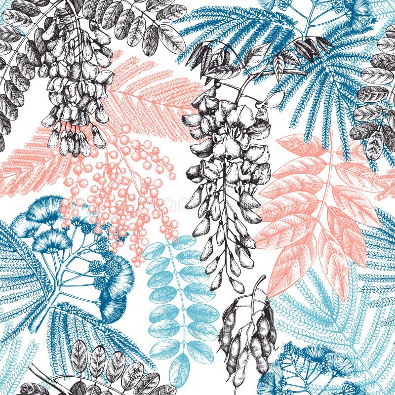 Blommiga bakgrund med handsk etsade träd i blommor. med blomning wisteria mimosa albizia acacia. floral royaltyfri illustrationer