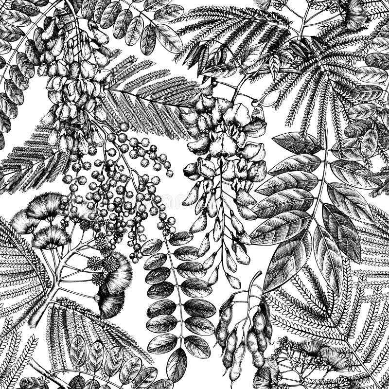 Blommiga bakgrund med handsk etsade träd i blommor. med blomning wisteria mimosa albizia acacia. floral stock illustrationer