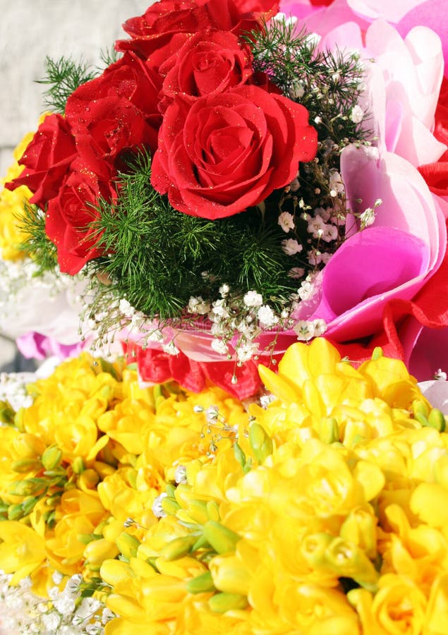 blommor arkivfoto blommor arkivfoto