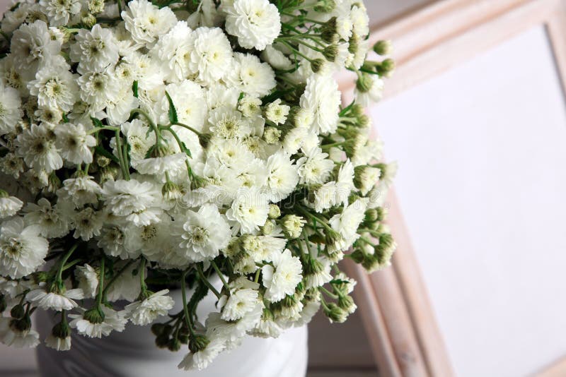 Blommor arkivbilder Blommor arkivbilder