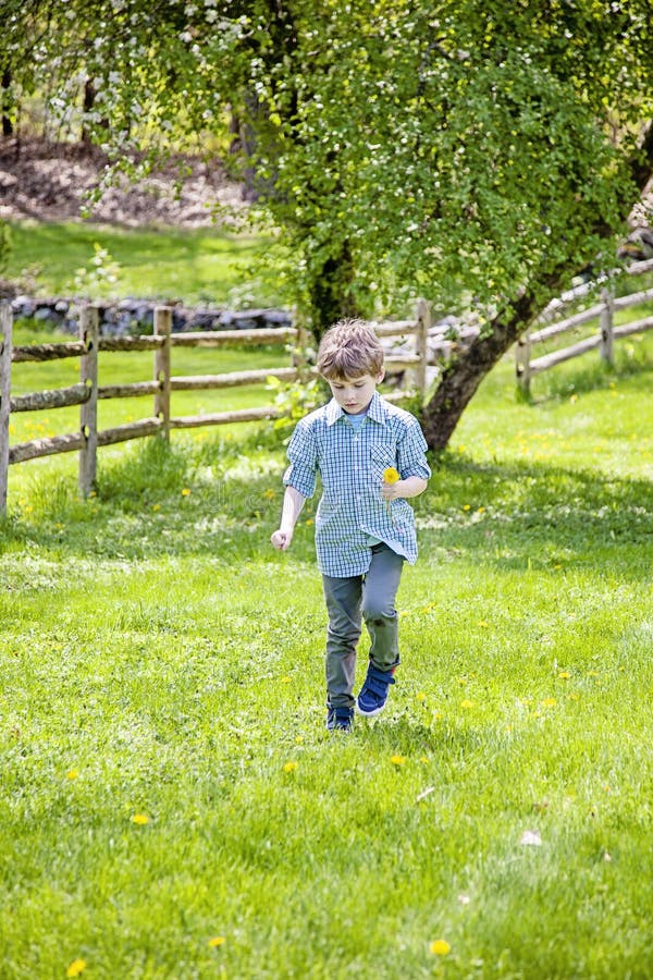Blommor f? r pojkeyttersidaplockning arkivbild