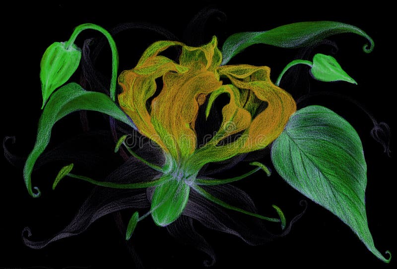 Blommor Gloriosa - en filial med en blomma, knoppar och sidor Seamless bakgrund En blyertspennateckning vektor illustrationer Blommor Gloriosa - en filial med en blomma, knoppar och sidor Seamless bakgrund En blyertspennateckning vektor illustrationer