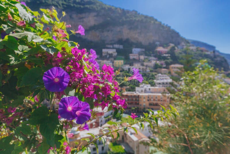Blommor och hus på berg i staden av Positano, längs den Amalfi kusten, Italien fotografering för bildbyråer Blommor och hus på berg i staden av Positano, längs den Amalfi kusten, Italien fotografering för bildbyråer
